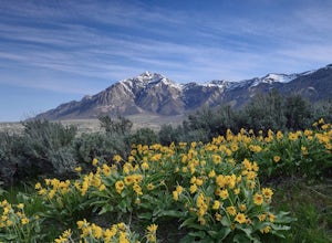 Northern Utah's Top 7 Backpacking Trips