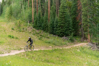 Downhill Mountain Bike the Verde and Viking Trails at Aspen Snowmass