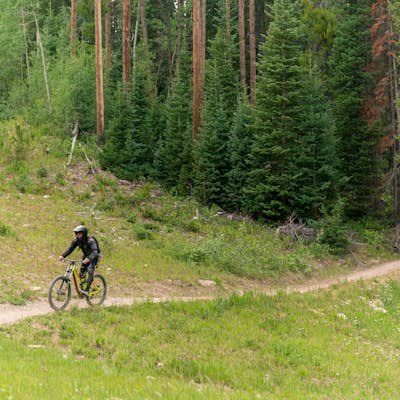Downhill Mountain Bike the Verde and Viking Trails at Aspen Snowmass