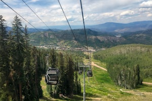 Downhill Mountain Bike the Verde and Viking Trails at Aspen Snowmass