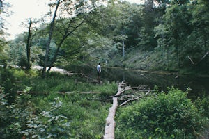 Backcountry Camp at the Wildcat Shelter