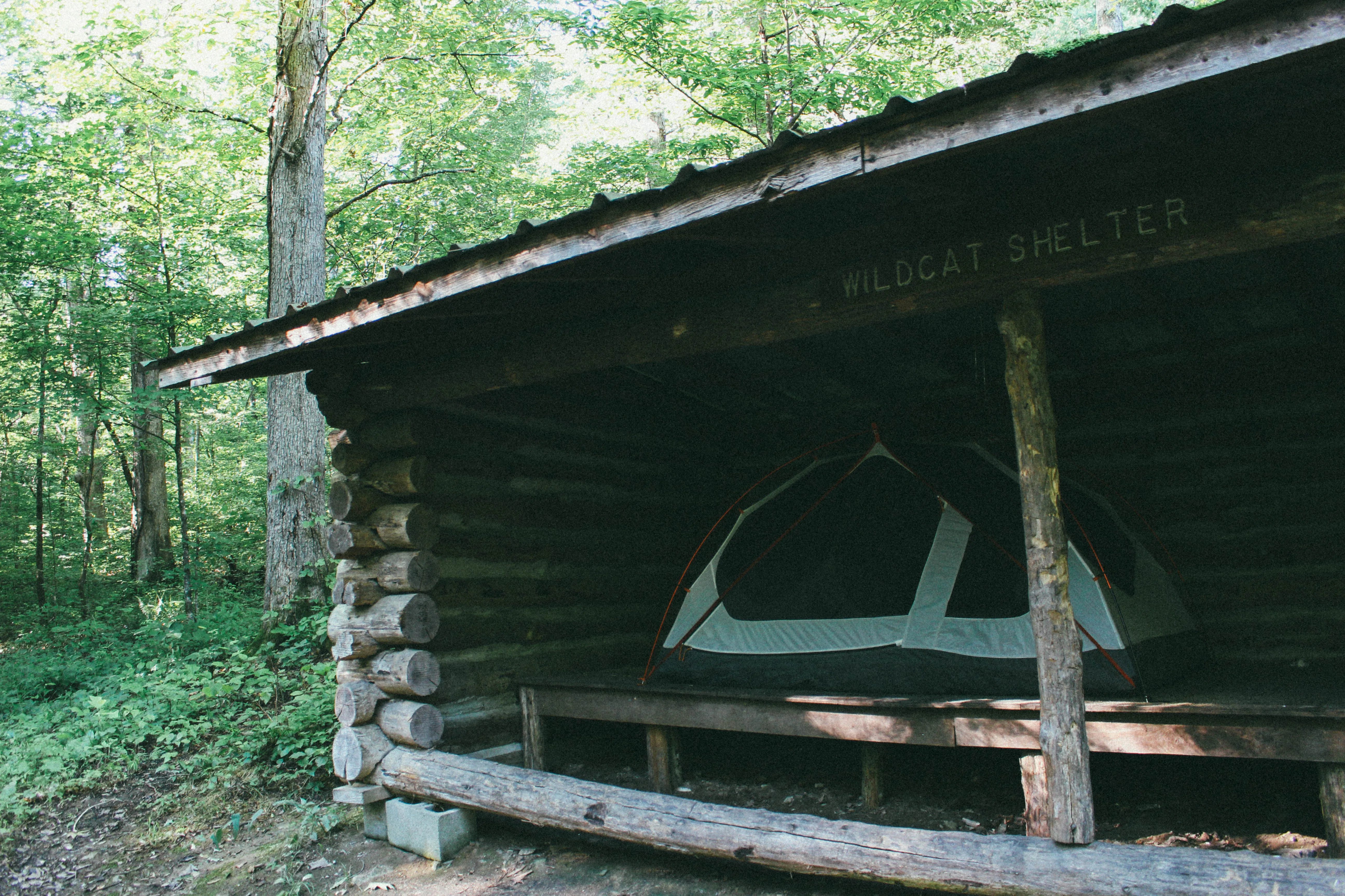 Backcountry Camp at the Wildcat Shelter