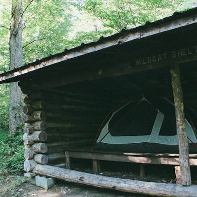 Backcountry Camp at the Wildcat Shelter