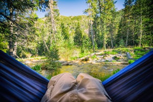 I Bought a Hammock and It Lived Up to the Hype