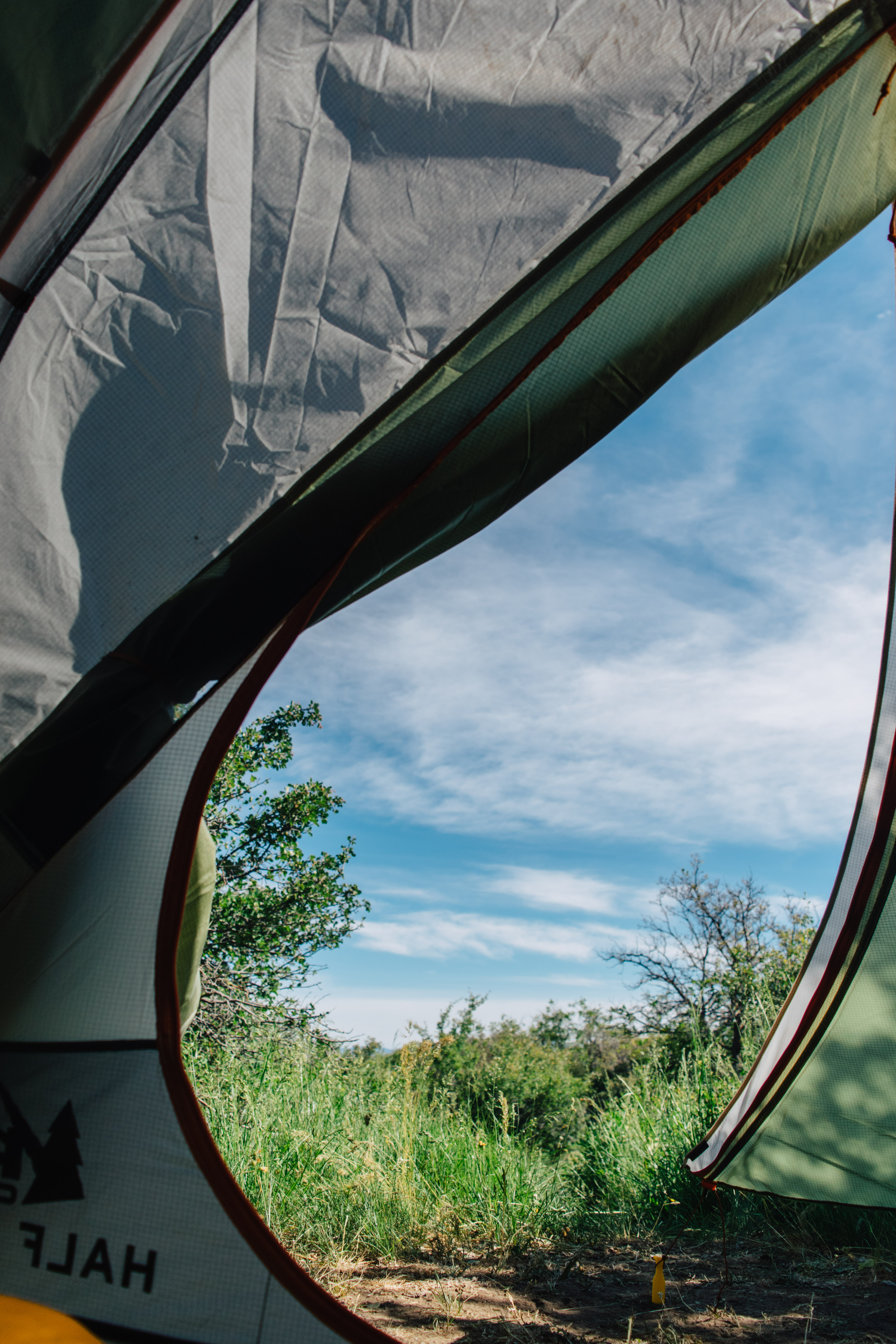 Camp at Black Canyon of the Gunnison's South Rim Campground