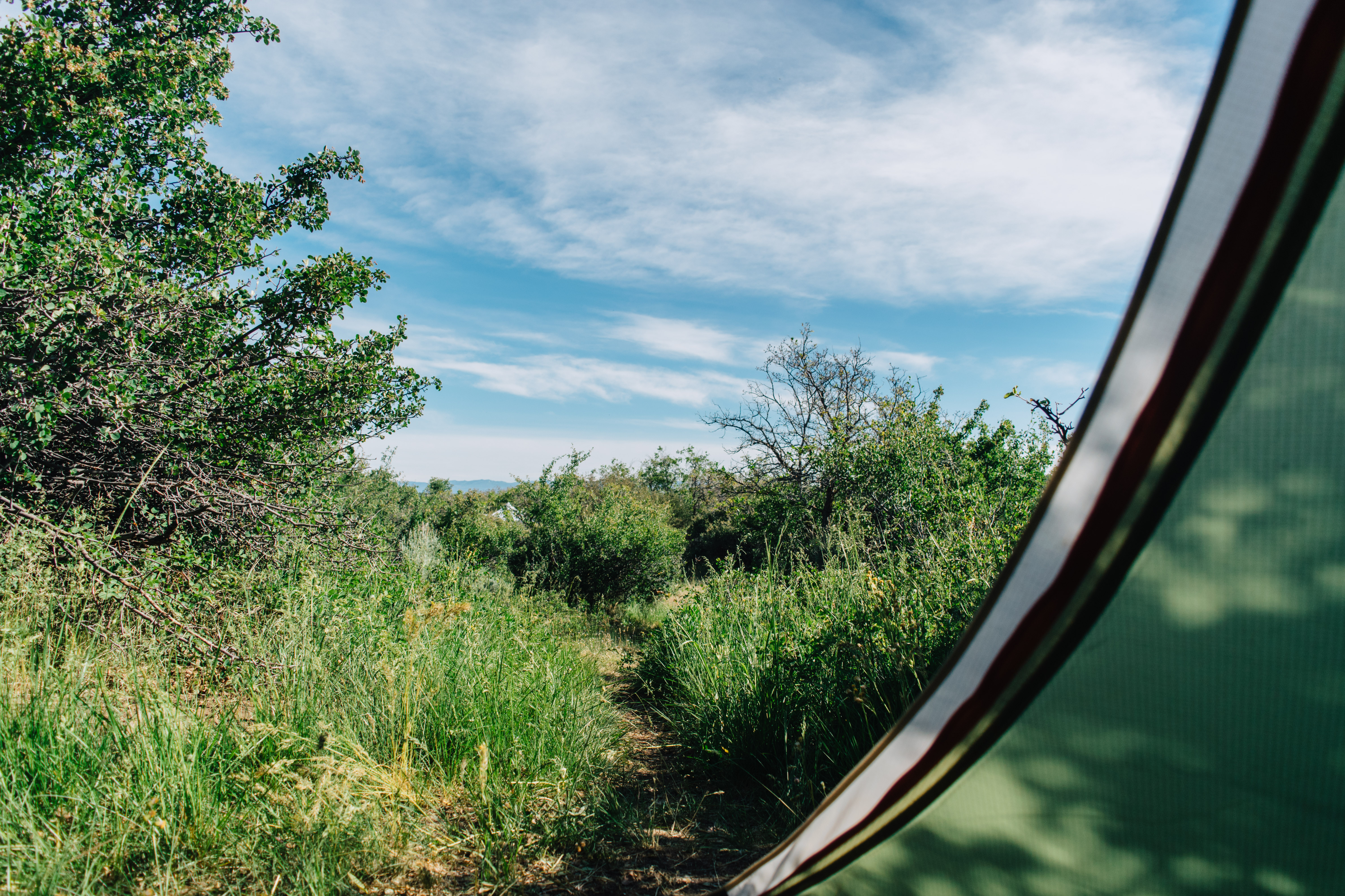 Camp at Black Canyon of the Gunnison's South Rim Campground