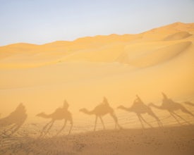 Why You Need to Get Your Butt to Morocco Immediately