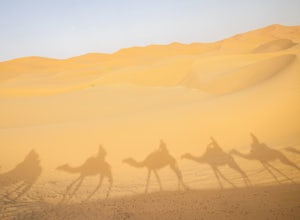 Why You Need to Get Your Butt to Morocco Immediately