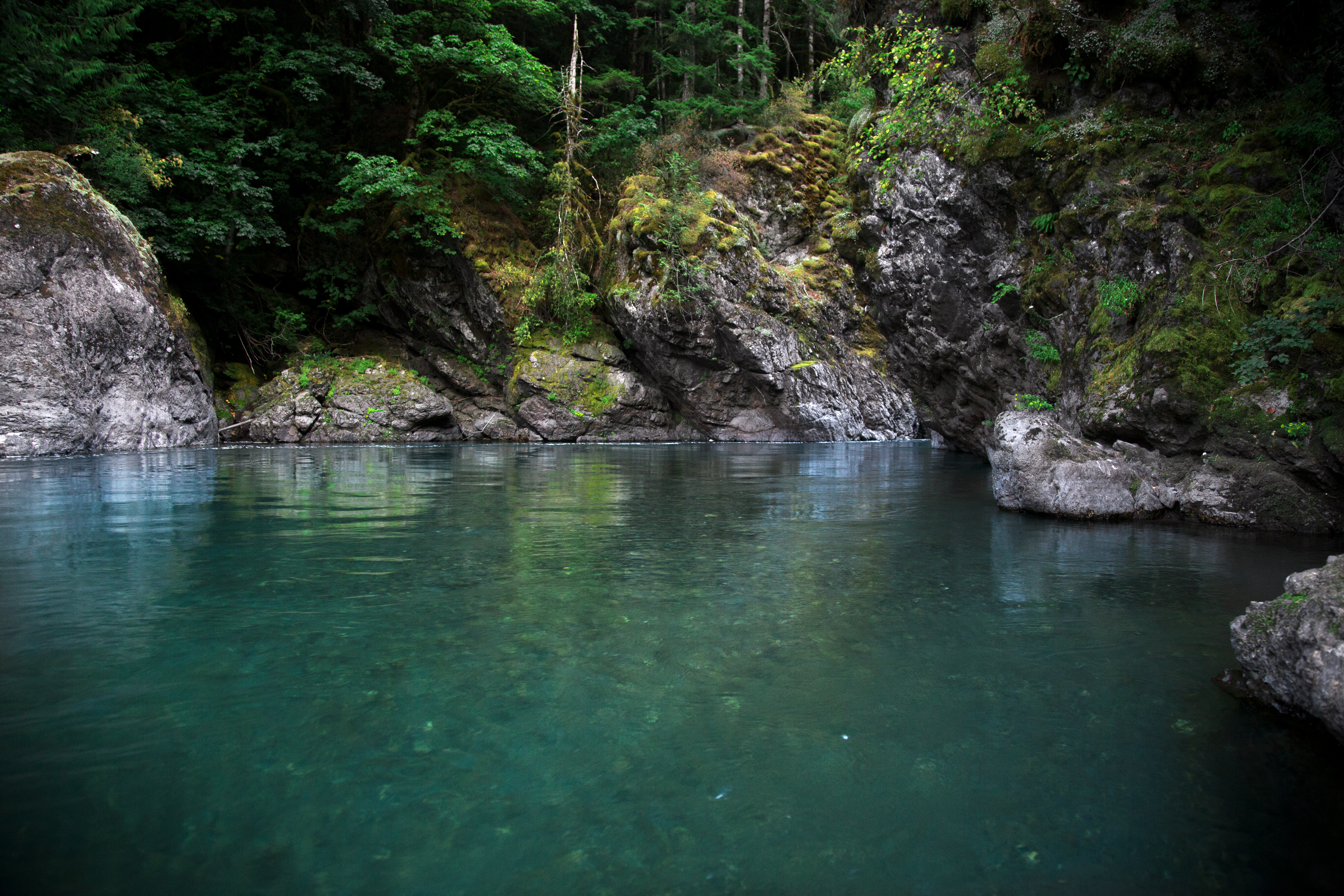Swim in the Elwha River