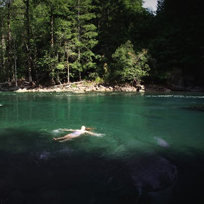Cliff Jump & Swim on the Elwha River