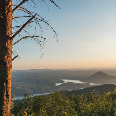 Take in the View at Chilhowee Overlook