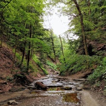  Hike to Eternal Flame Falls in Chestnut Ridge Park