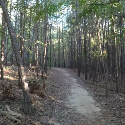Bike the Outer Loop at Harbison State Forest 