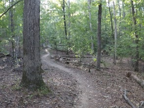 Bike the Outer Loop at Harbison State Forest 