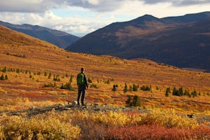 3 Reasons to Head to the Yukon to Enjoy Fall Adventures