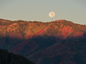 Explore One of Idaho’s Best Fall Foliage Displays at Palisades Reservoir 