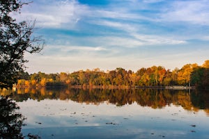 The Best 5 Hikes for Fall Foliage in Delaware