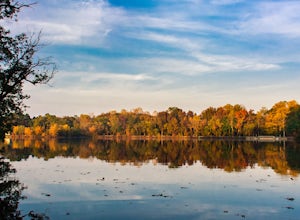 The Best 5 Hikes for Fall Foliage in Delaware