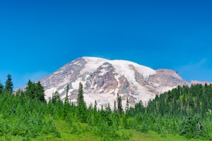 7 Photos to Inspire You to Explore Mt. Rainier National Park