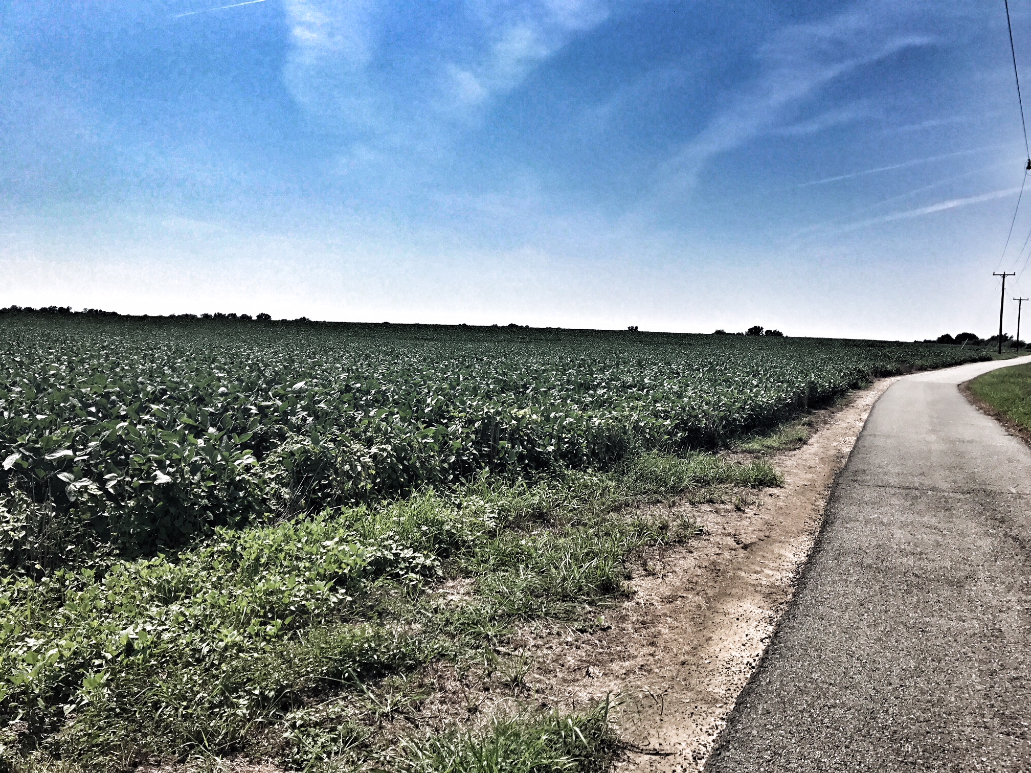 Bike the Virginia Capital Trail