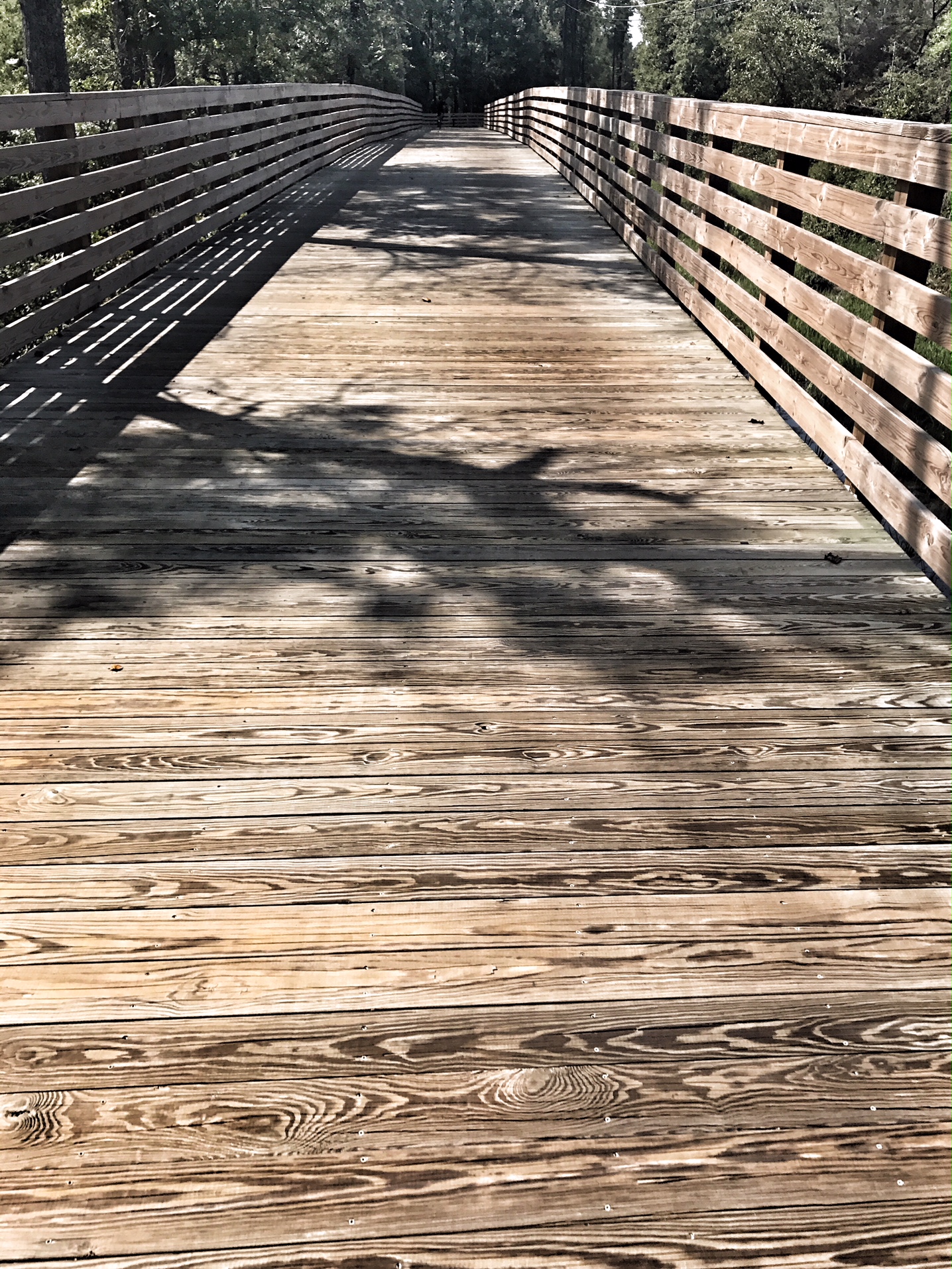 Bike the Virginia Capital Trail