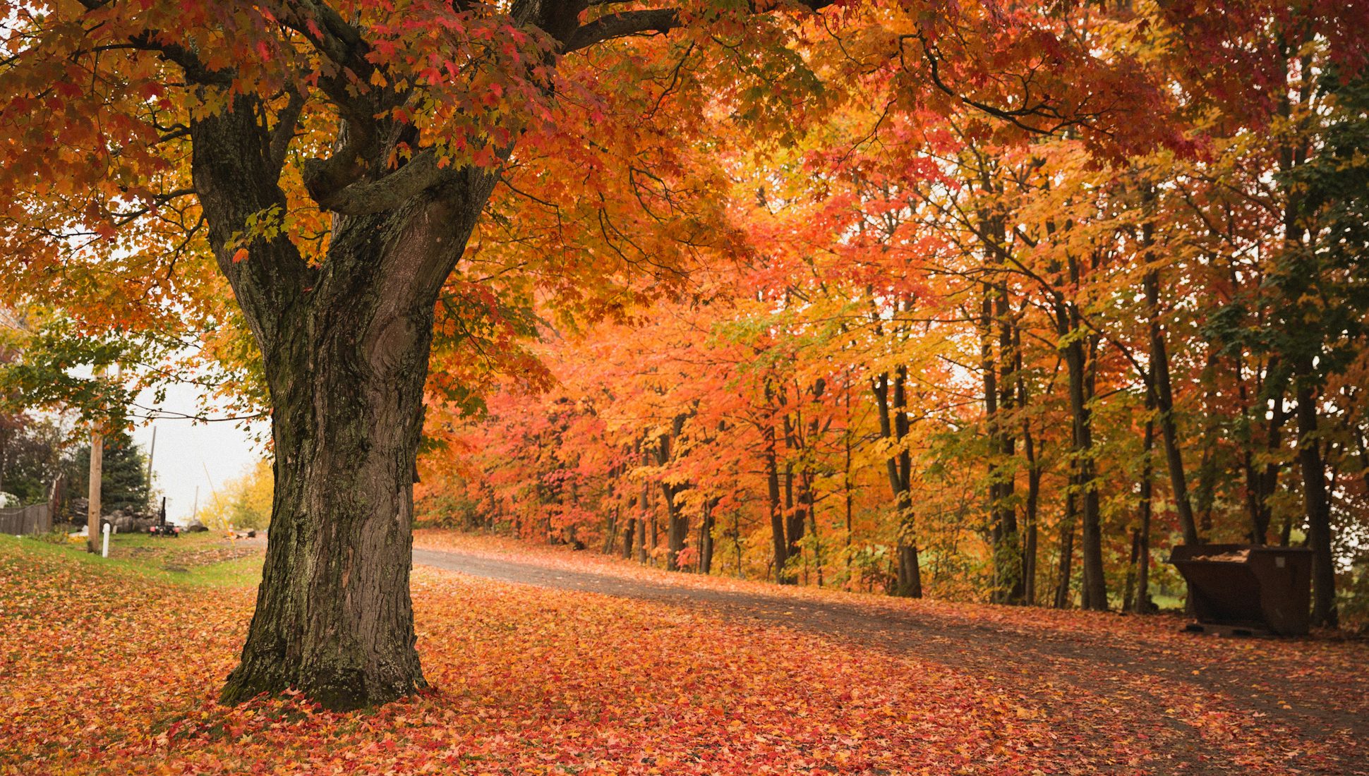 5 Tips for Finding Beautiful Fall Foliage in Massachusetts