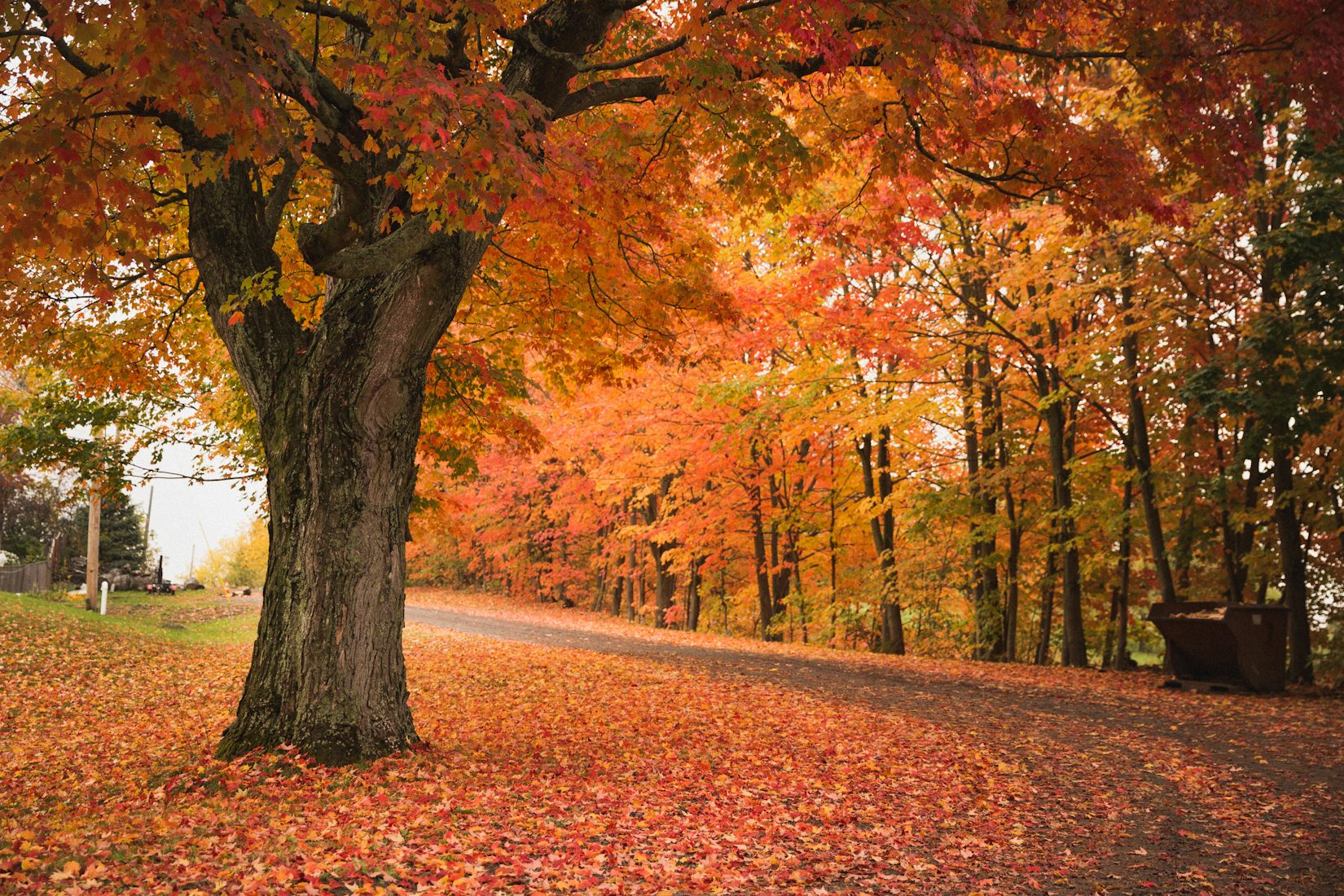 5 Tips for Finding Beautiful Fall Foliage in Massachusetts