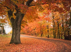  5 Tips for Finding Beautiful Fall Foliage in Massachusetts 
