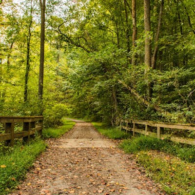 Hike the PennDel Trail at White Clay Creek SP