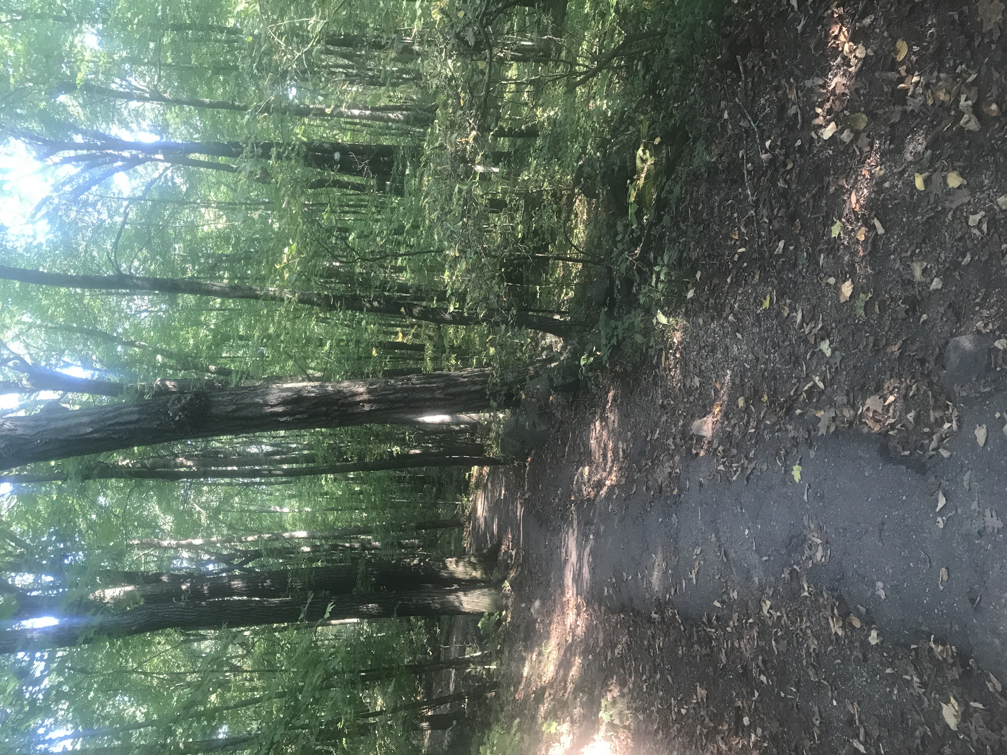 Devil's Lake Perimeter Loop 