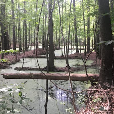 Hike the Guinard Clay Quarry Loop