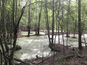 Hike the Guinard Clay Quarry Loop