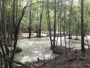 Hike the Guinard Clay Quarry Loop