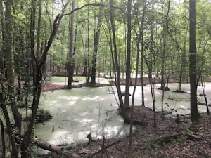 Hike the Guinard Clay Quarry Loop