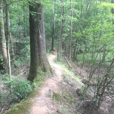 Hike the Guinard Clay Quarry Loop