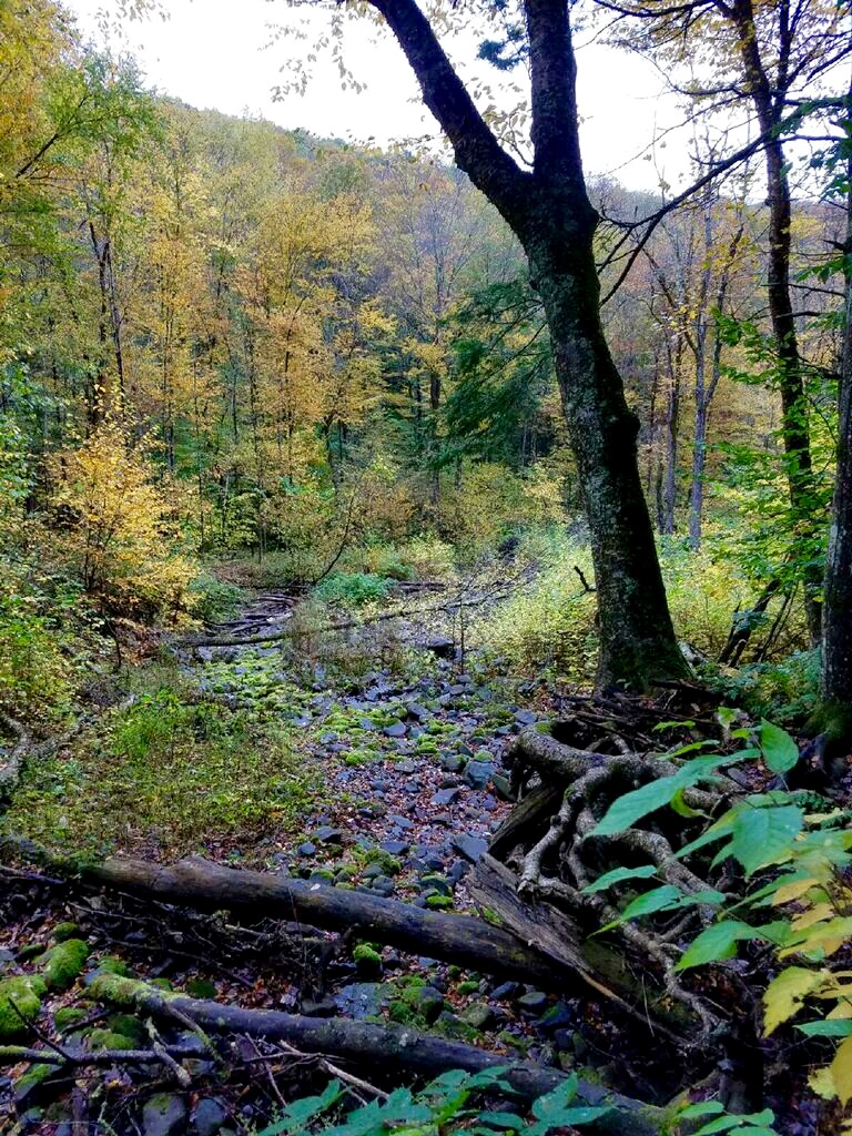 Hike to Balsam Mountain in the Catskills