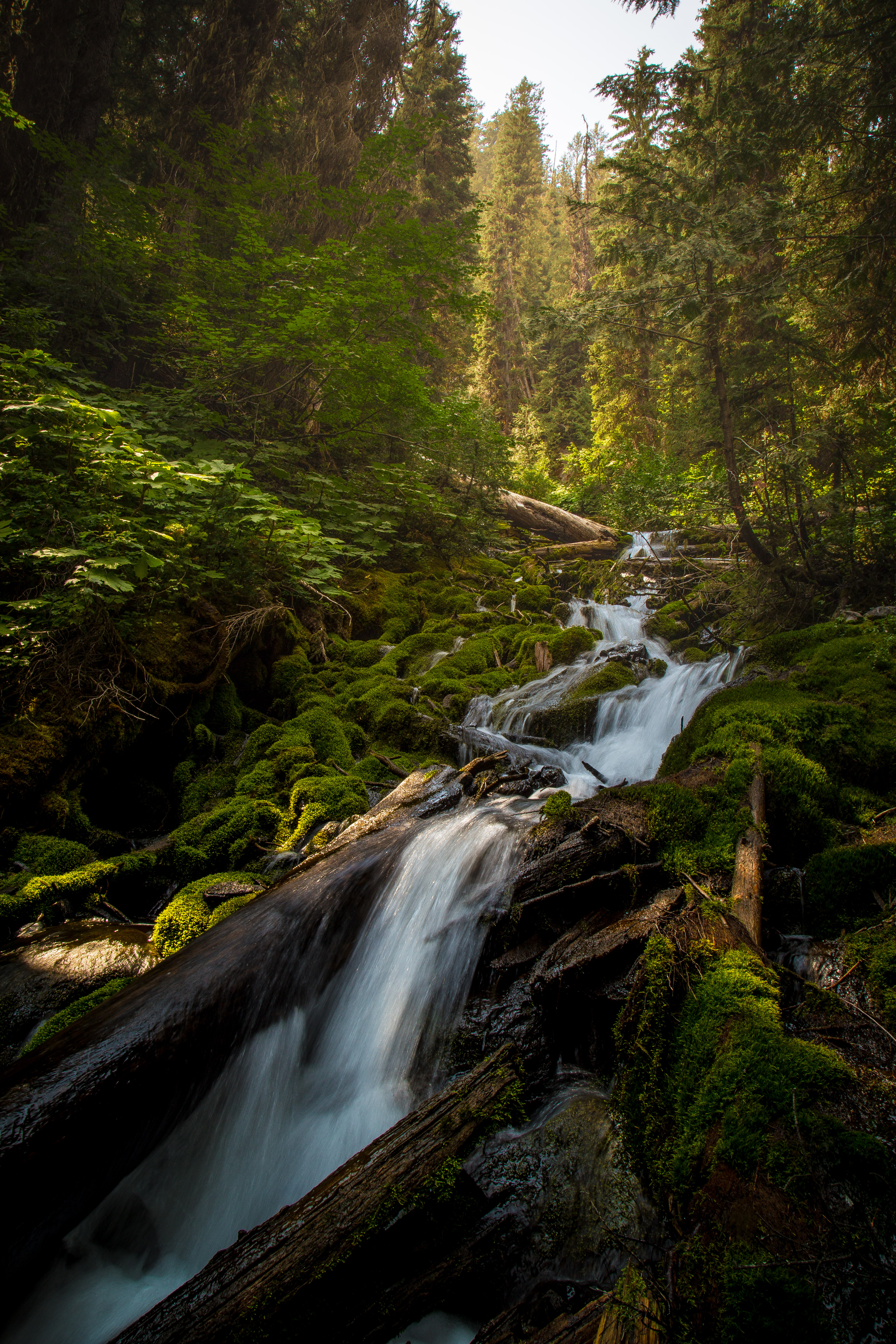 Hike the Mountain Lakes Trail (Heiko's Trail)