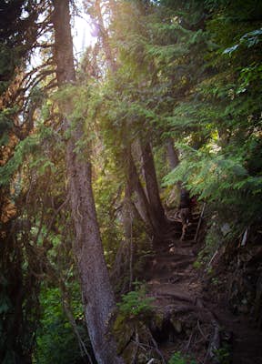Hike the Mountain Lakes Trail (Heiko's Trail)