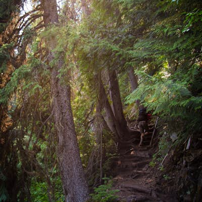 Hike the Mountain Lakes Trail (Heiko's Trail)