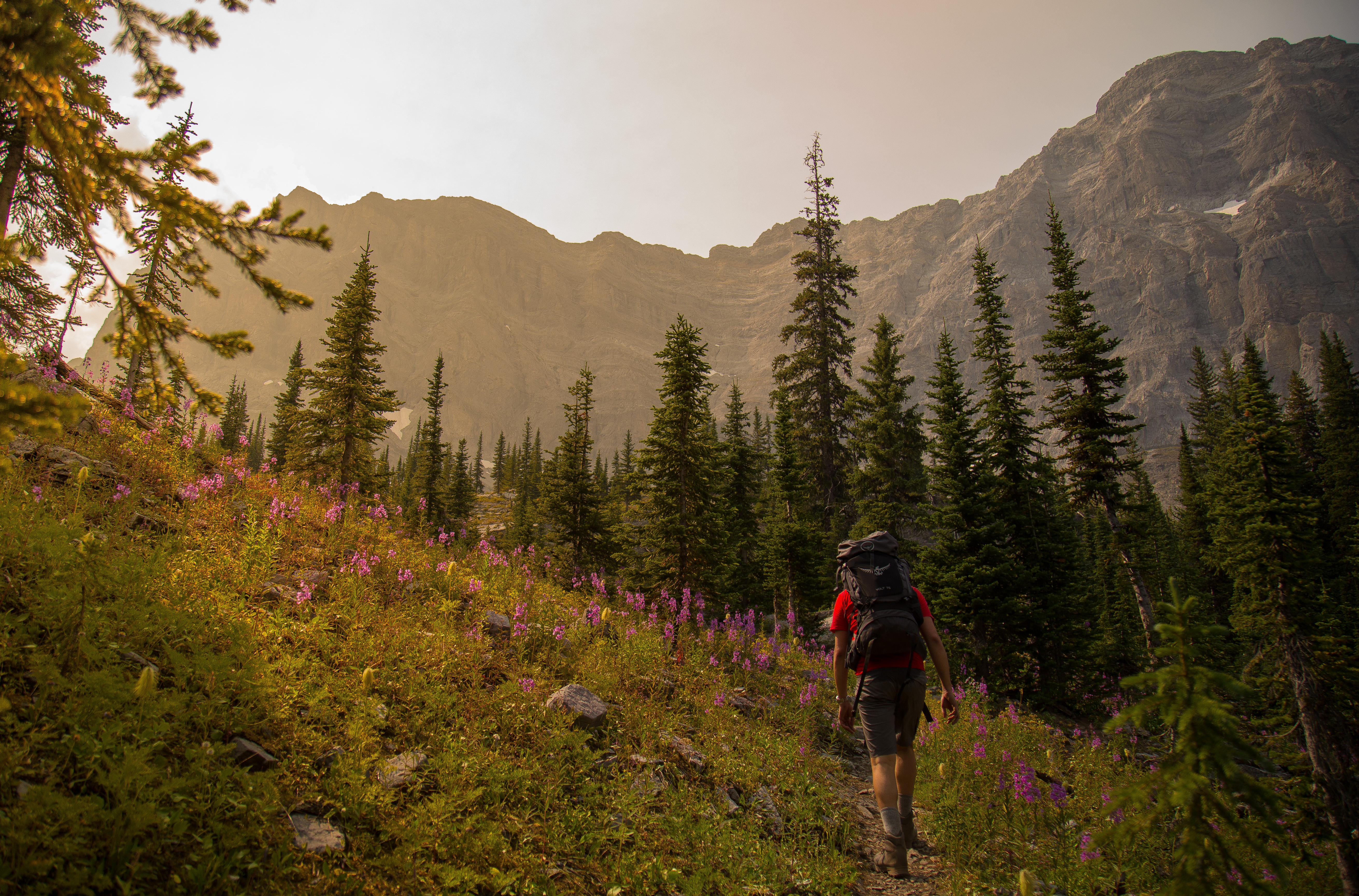 Hike the Mountain Lakes Trail (Heiko's Trail)