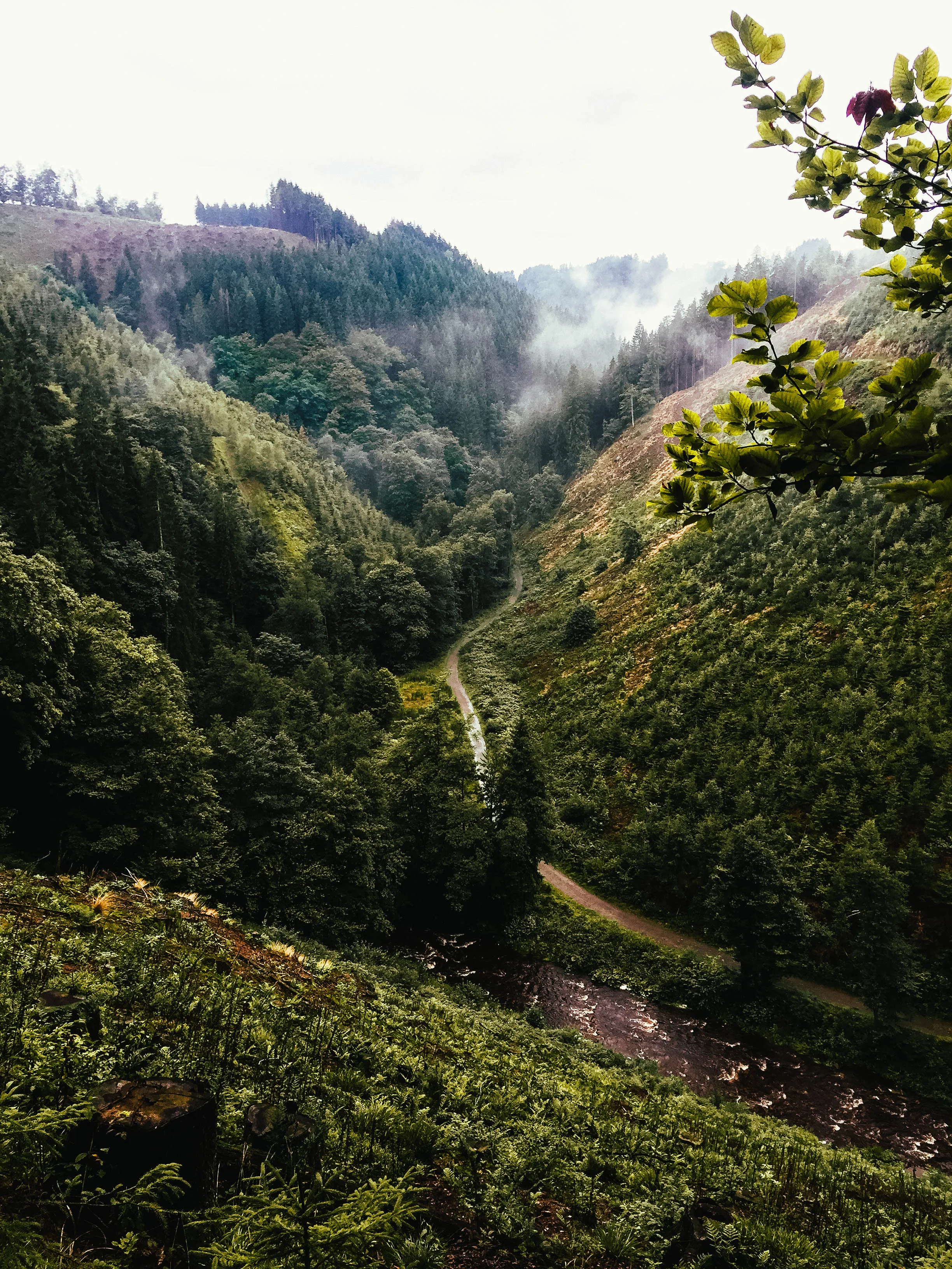 High Fens Loop