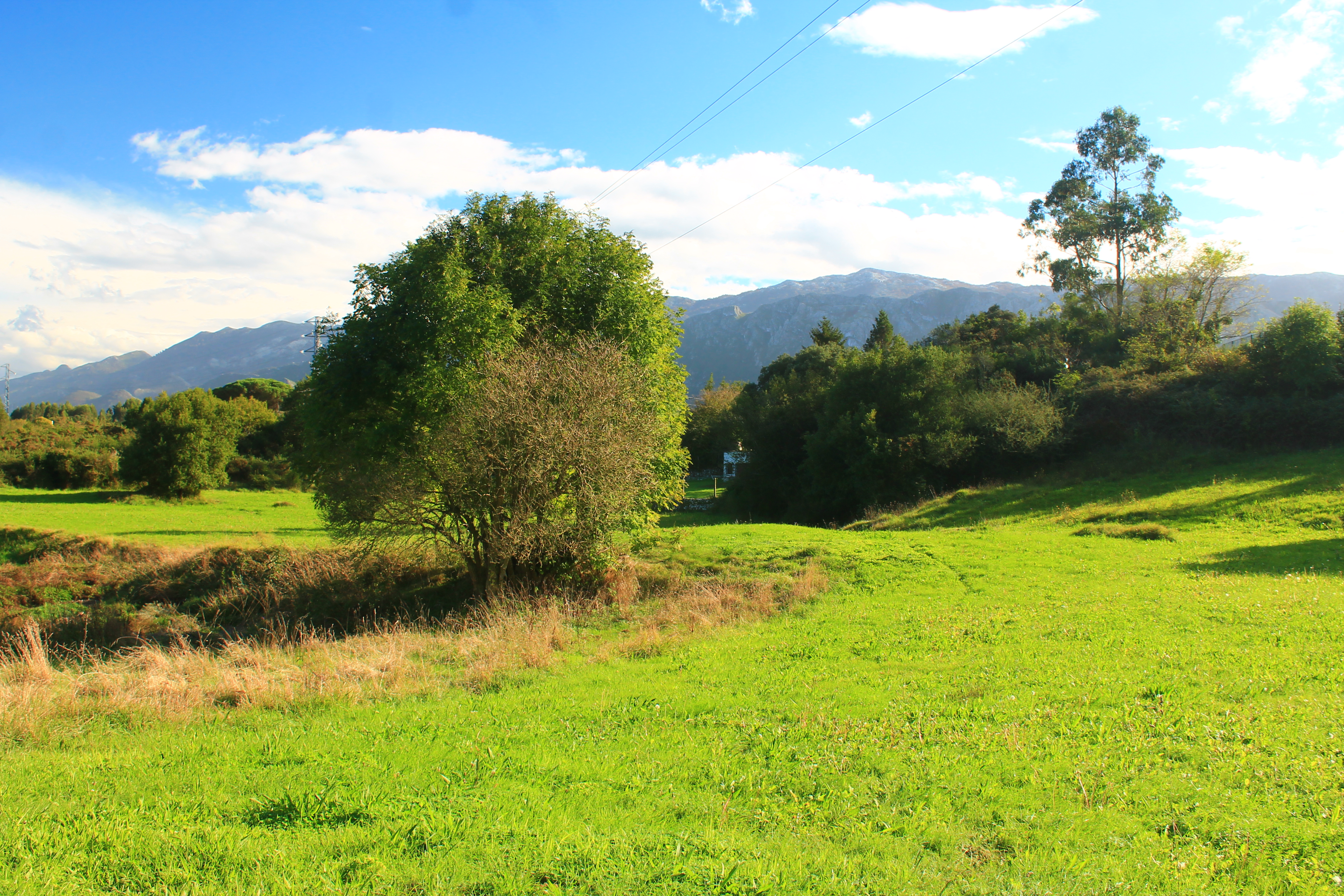 Hike to Playa San Martin via Camino de Santiago