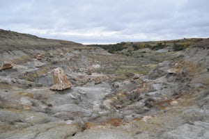 Petrified Forest Loop