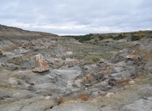 Hike to the North Petrified Forest