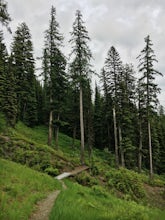 Hike Whitefish Mountain via the Danny On Trail