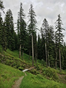 Hike Whitefish Mountain via the Danny On Trail