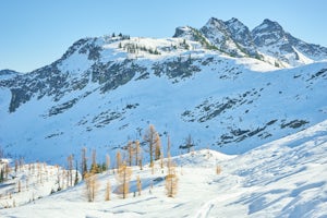 Snowshoe Heather Maple Loop Pass