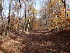 Hike the Timberbrook Pond - Riley's Rise Loop