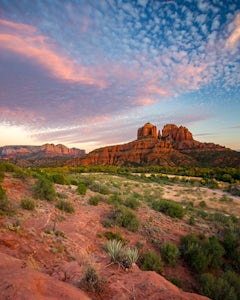 Secret Slickrock Trail