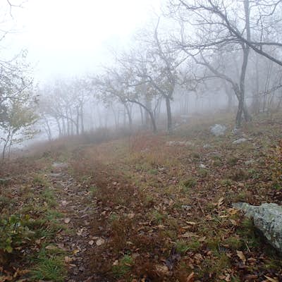 Hike the Mount Mohican-Raccoon Ridge Traverse